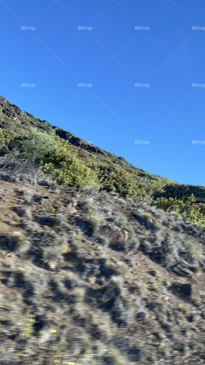 Looking up at mountain in Hawaii 