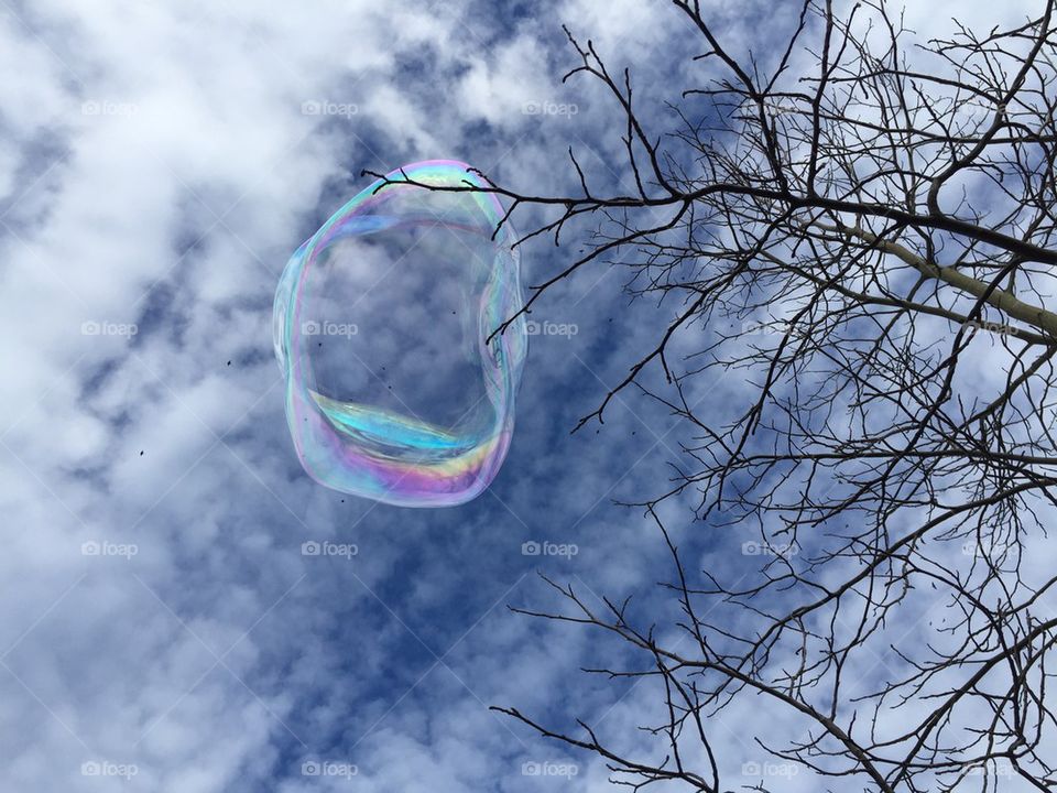 Tree bubble