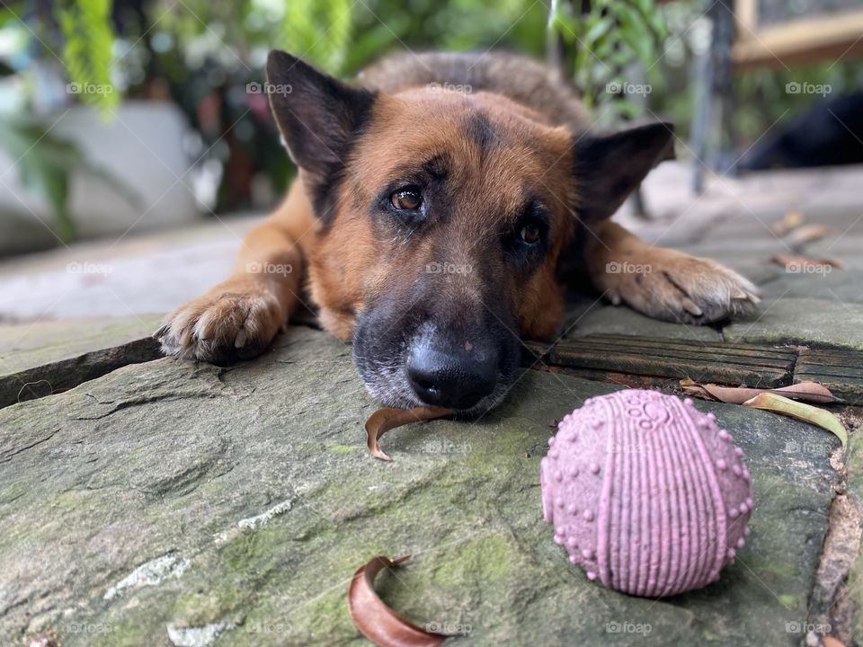 You know I love a ball