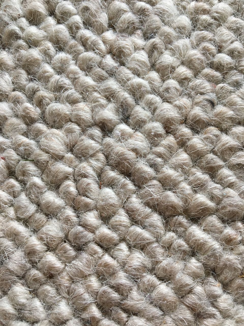 Wool Carpet 