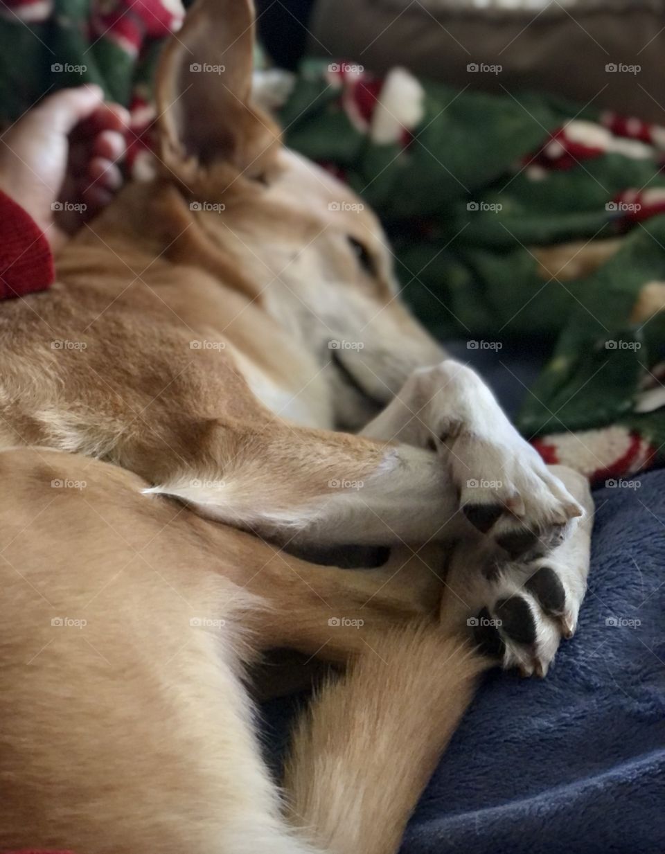 Mornings with my girls