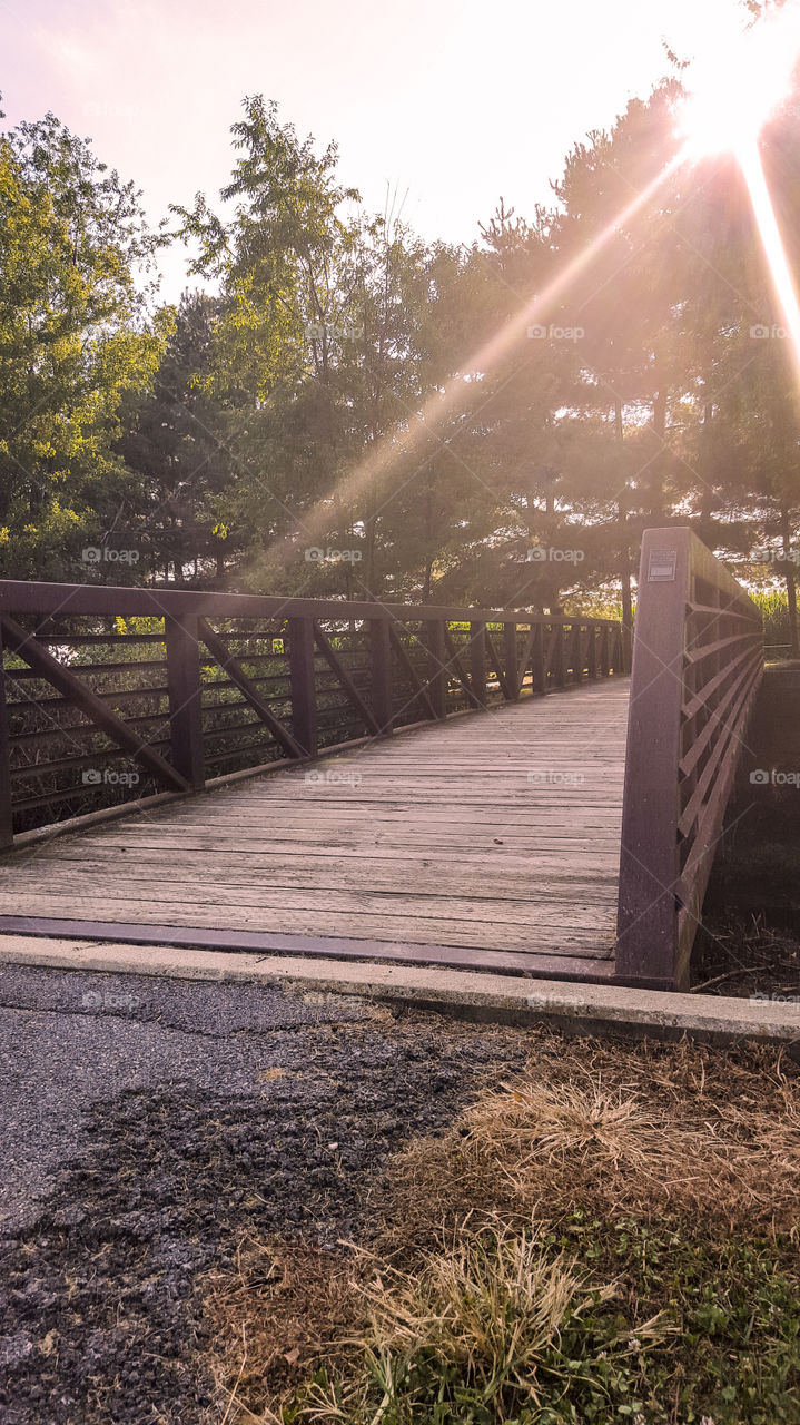 Bridge. bridge at local park