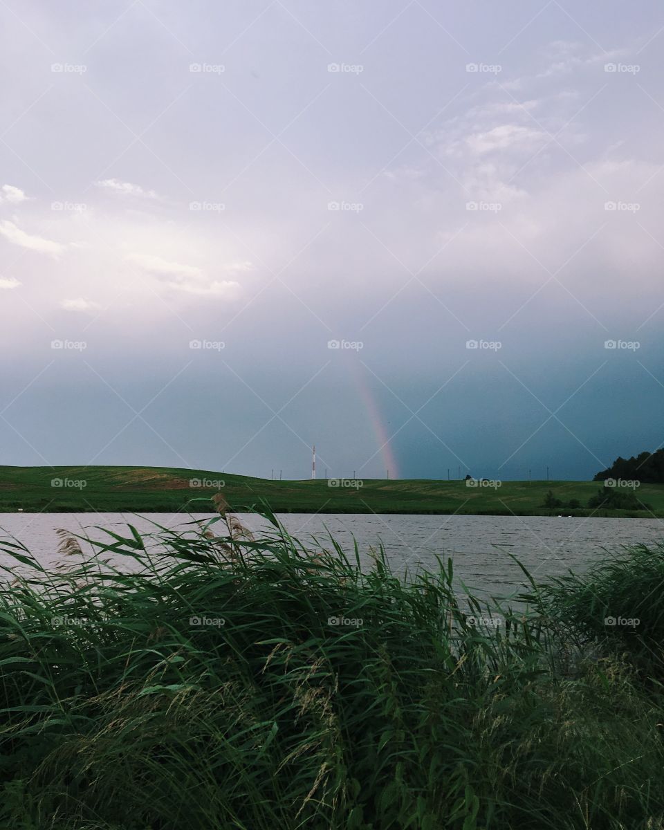 Nature