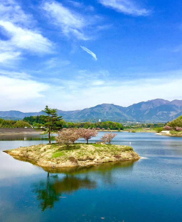 beautiful nature