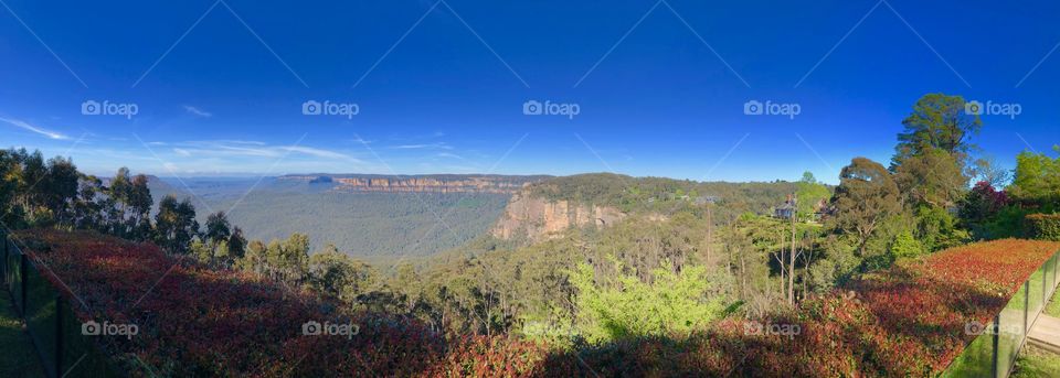 Blue Mountains
