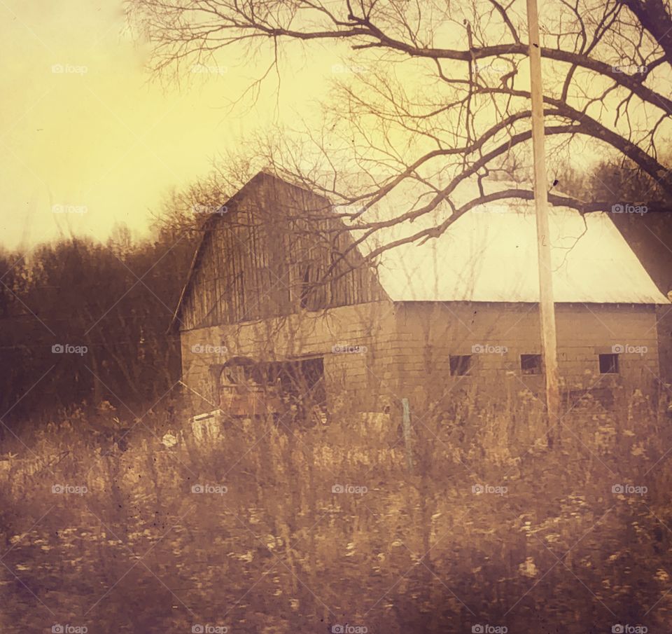 Unique barn