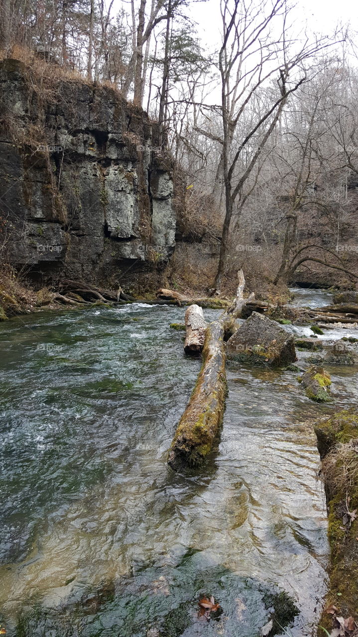 Greer Springs in Nov.