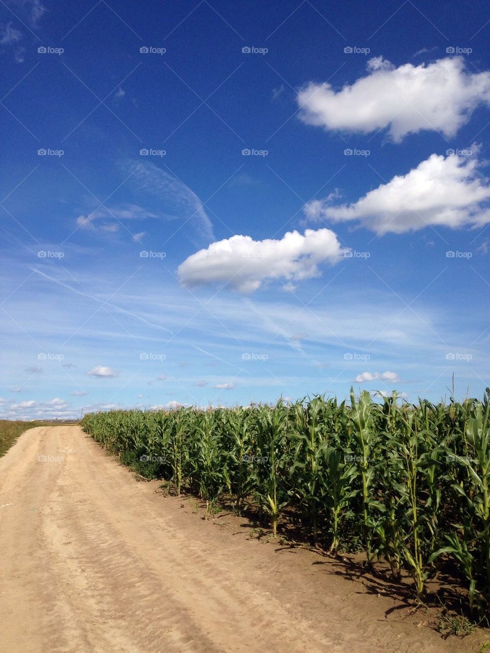 Blue blue sky's 