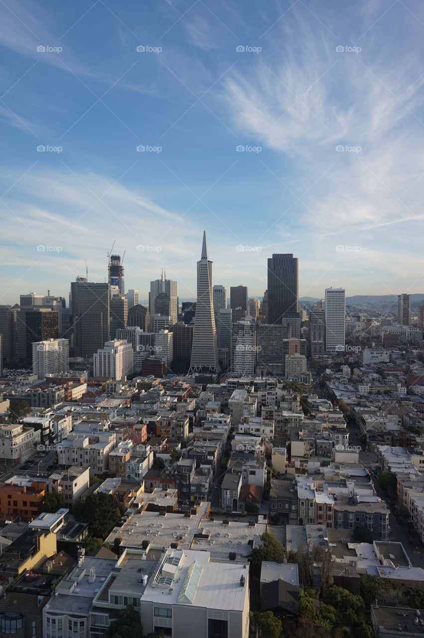 San Francisco from Coit tower