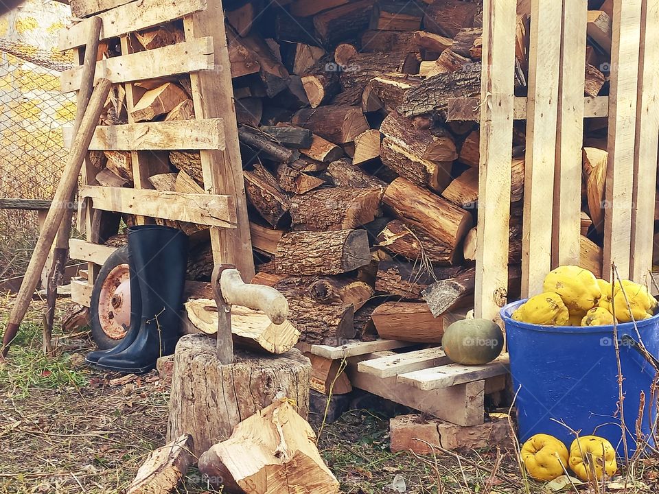 everyday life in the village, preparation for winter, firewood was cut down, the harvest of quince was harvested, and other inverter used on the farm!