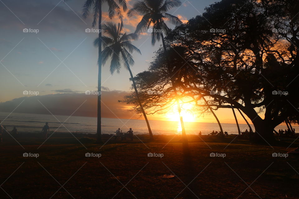 Tropical sunset, palms and people on the beach admiring the serenity 