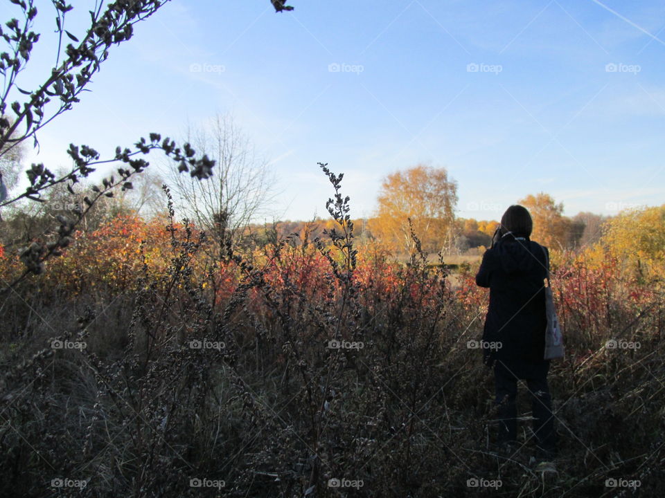 walk in the autumn morning forest. silence and tranquility of nature