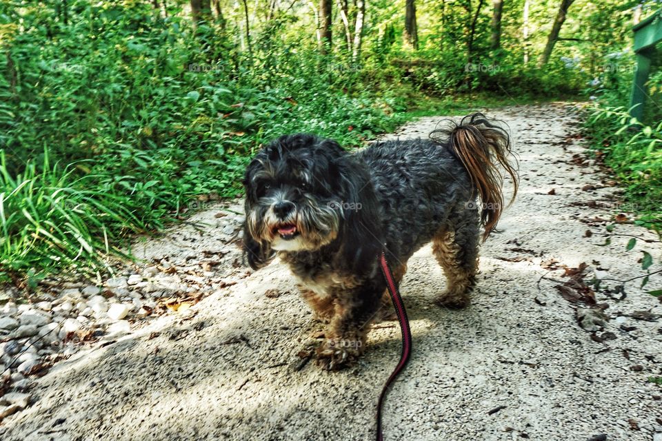 Nature Walk