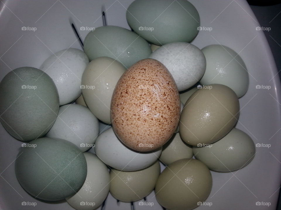 Multicolored chicken eggs