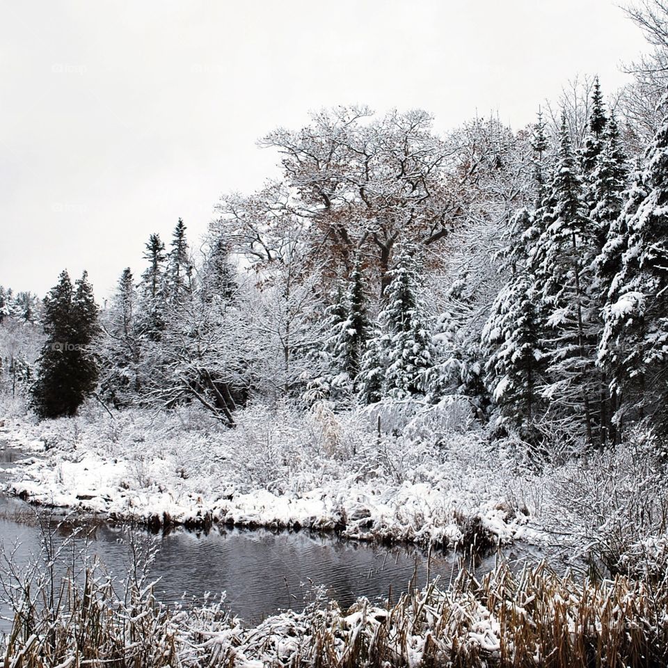 The first snow of the season is always beautiful. Beaver Dam in Montville Maine. 