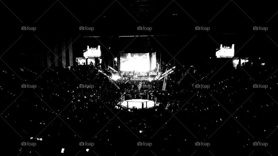UFC in Las Vegas