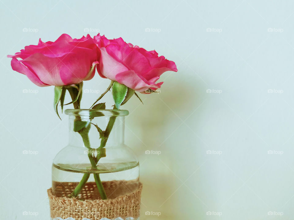Pink rose flowers in a glass jar.