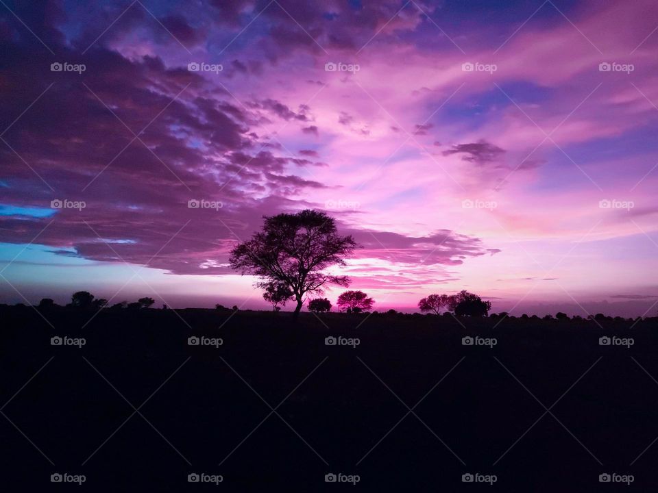 Who is this painter?