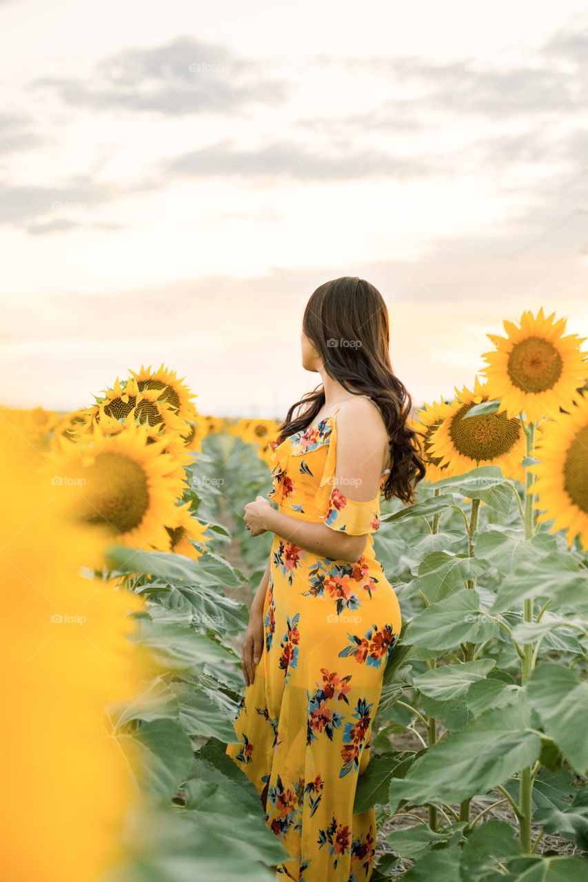 Sunflower love in summer 