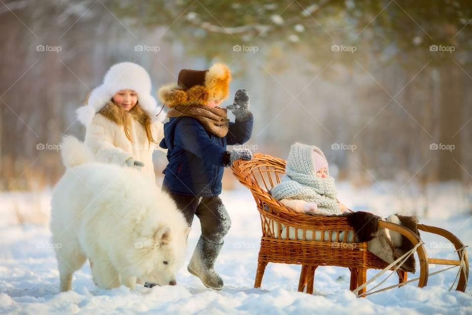 Children playing with the Samoyed dog at cold winter day