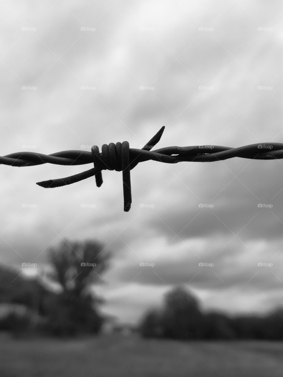 fer barbelé