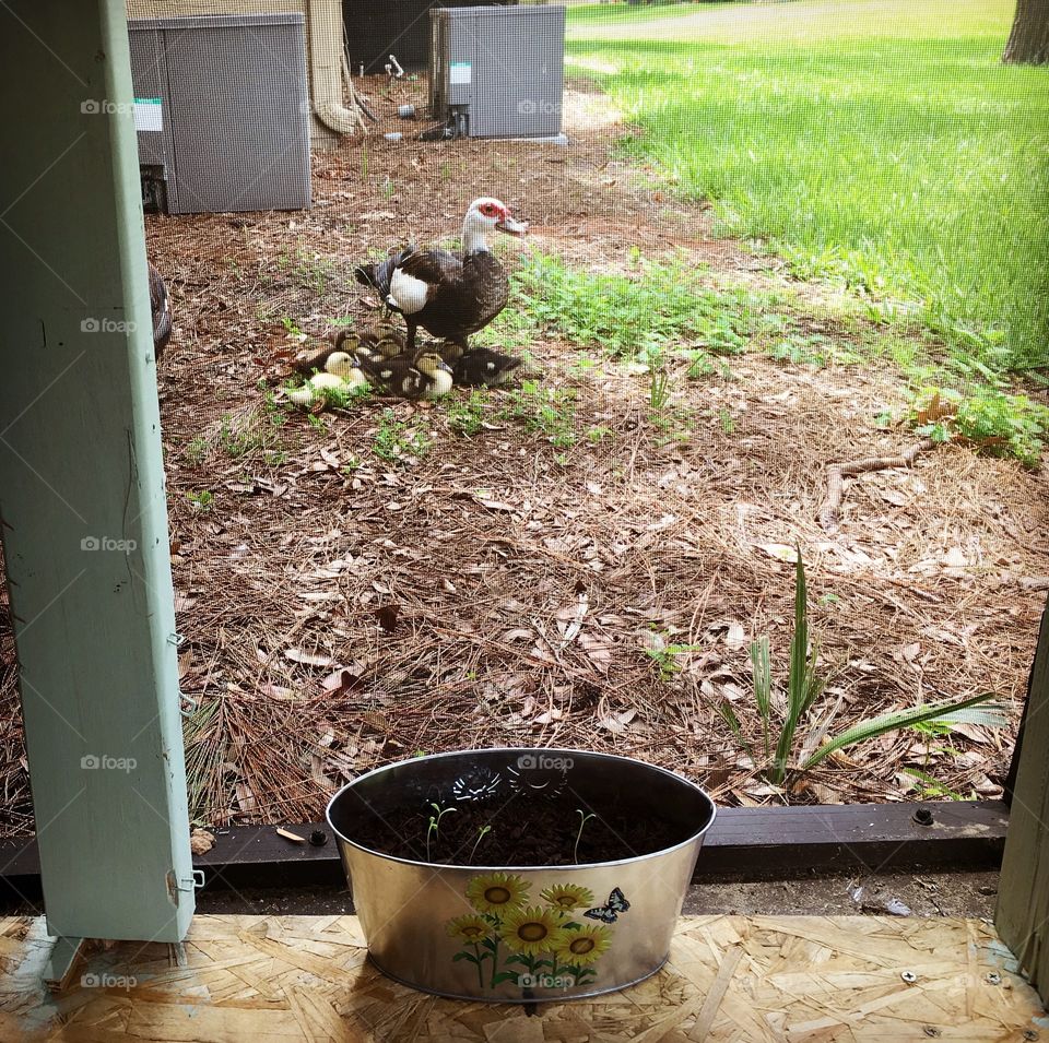 Our little garden has a beautiful view 