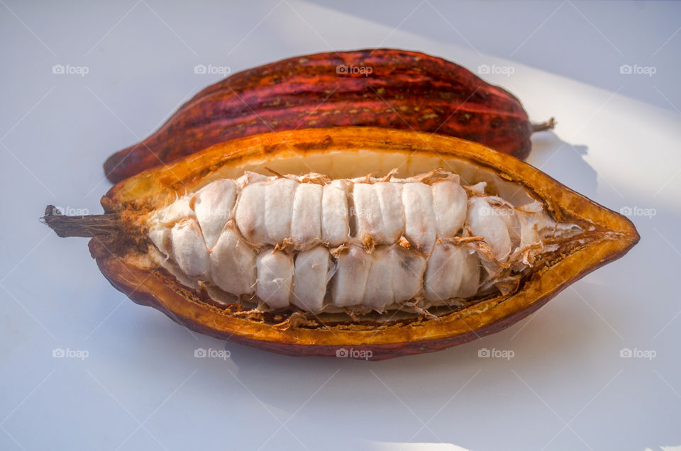 brazilian fruits: cocoa