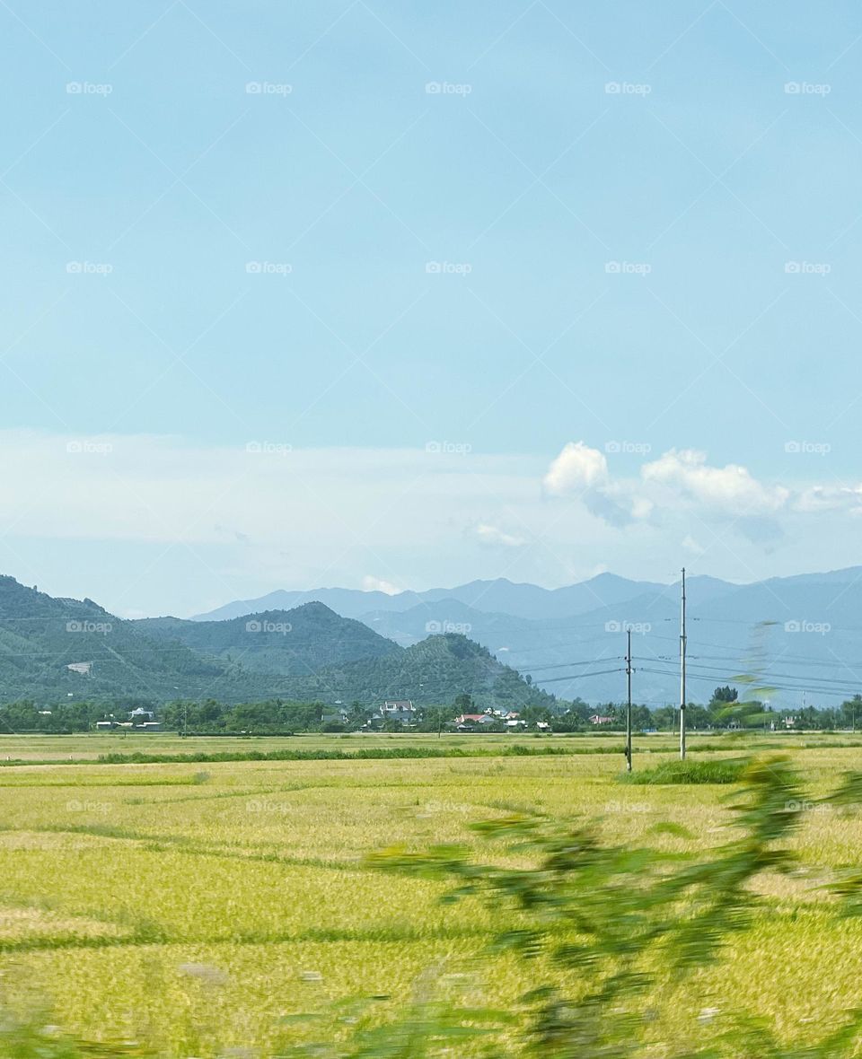 Green valley, blue sky