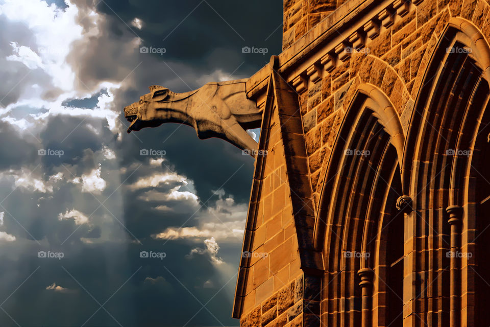 Looking Over The Skies