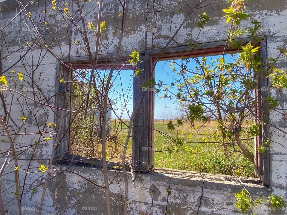 Inside an abandoned building looking out 