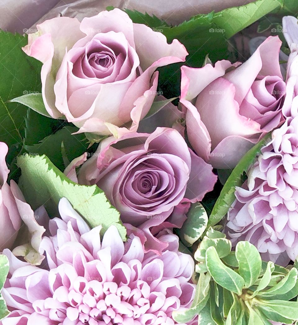 Pink and purple lilac bouquet 