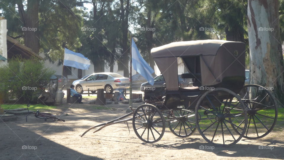 Ancient and modern vehicle