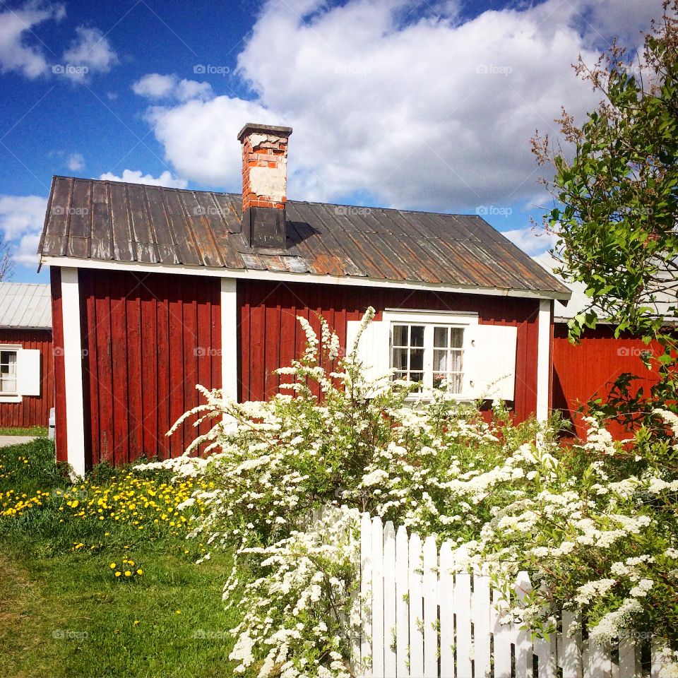 Swedish  cottage 