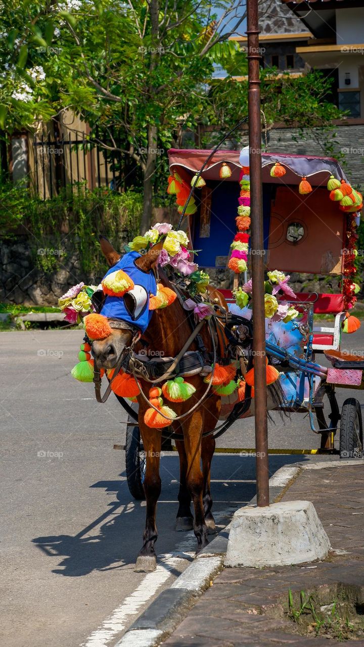 horse-drawn carriage waiting for passangers