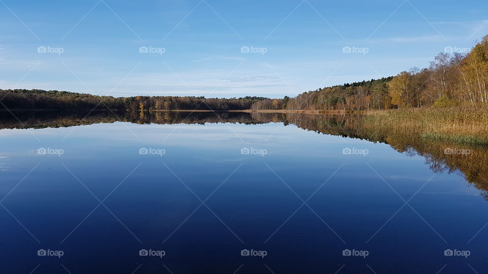 Autumn, forest reflections on the lake- höst, skog reflektion sjö 