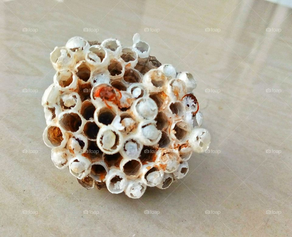 hexagonal decorative design