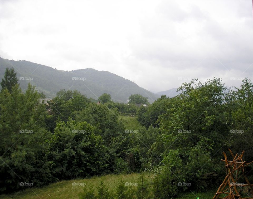 A landscape on Carpathian mountains in clouds