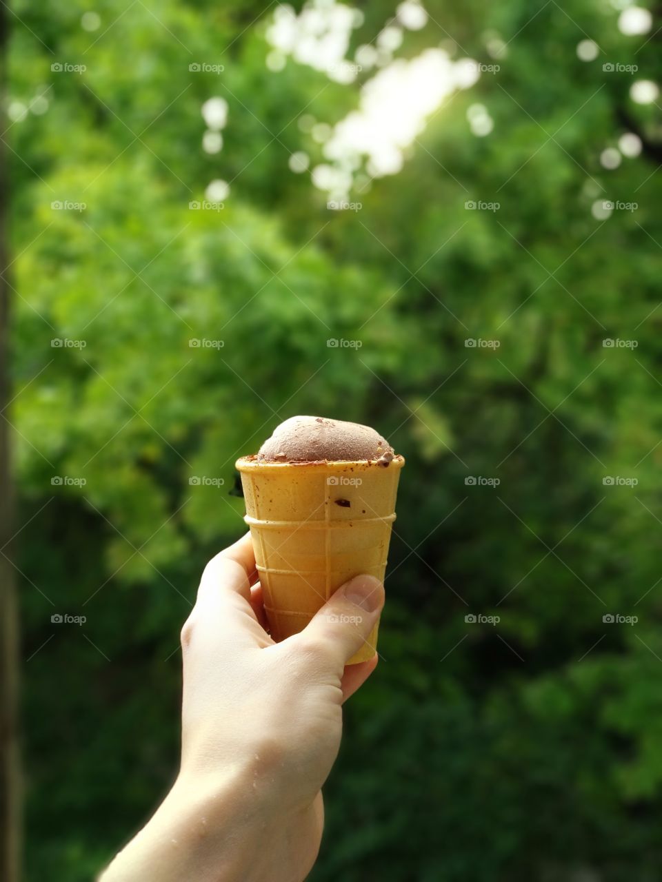 ice cream