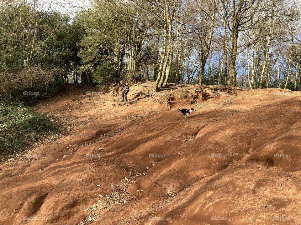 Our puppy and kids enjoying the hillside 