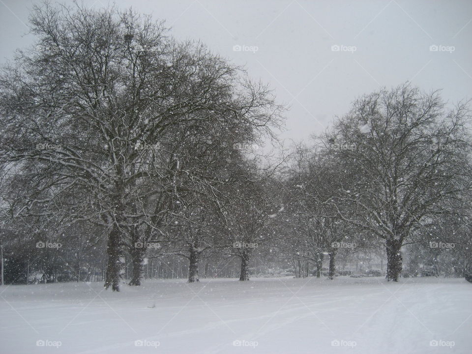 snowing in the park