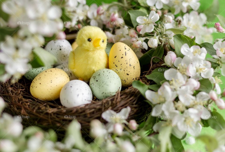 A toy chick in a birds nest surrounded by eggs & blossom