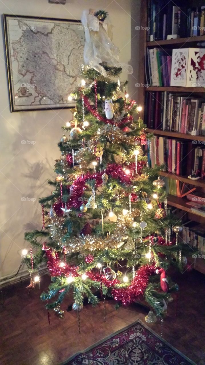 Oh christmas tree