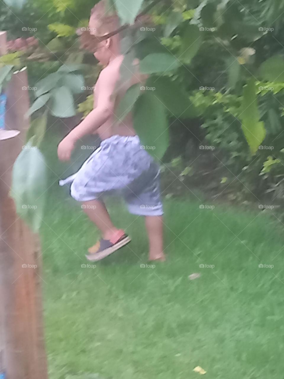 A arborização  no meio urbano, atua diretamente  na melhoria da qualidade  climática local, proporcionando  bem-estar à população