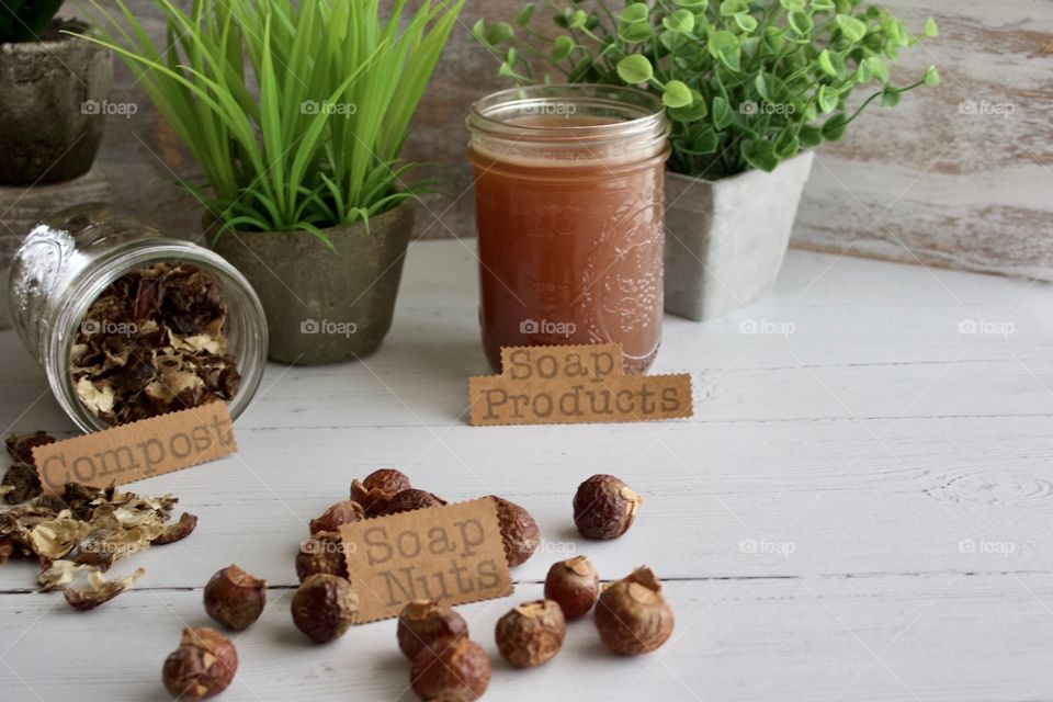 Closeup of soap nuts or soap berries, liquid soap for DIY soap products and used soap nuts/berries for compost on white wooden surface in natural light