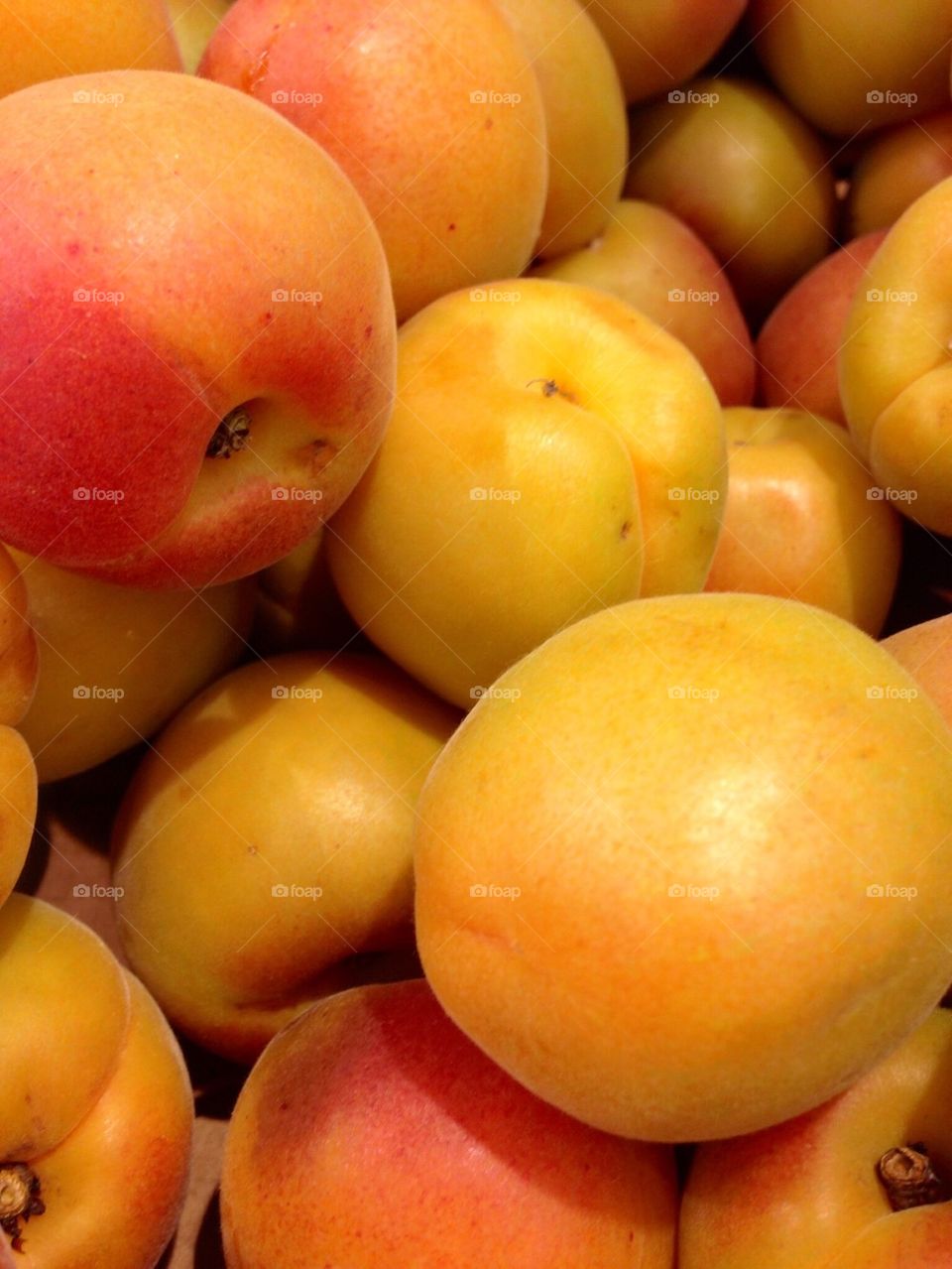 Apricots