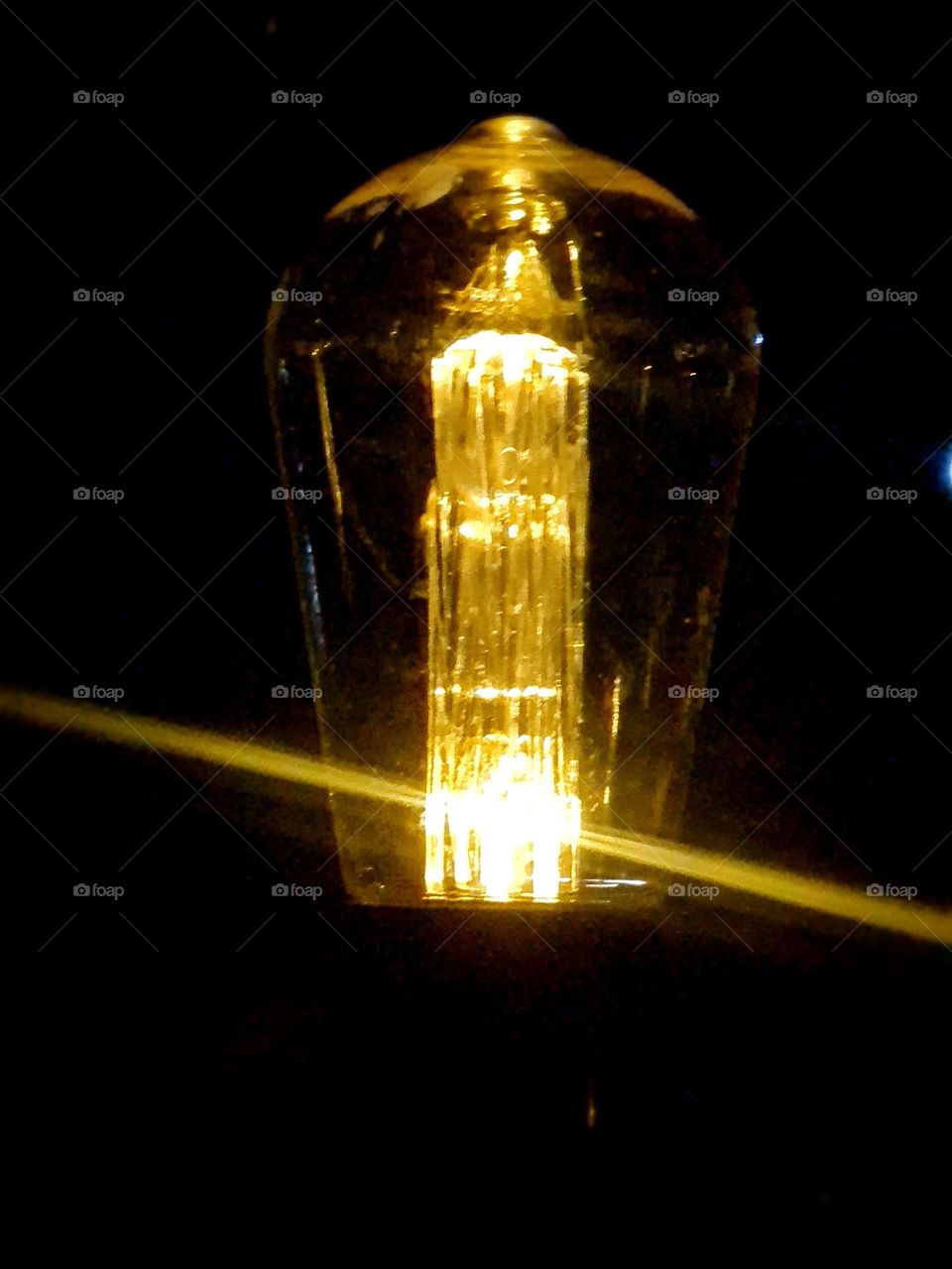 Illuminating the darkness, the light bulb whispers secrets of life and nature.