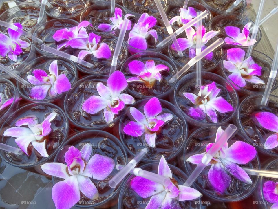 Hawaiian Mai Tai Cocktails With Purple Orchids