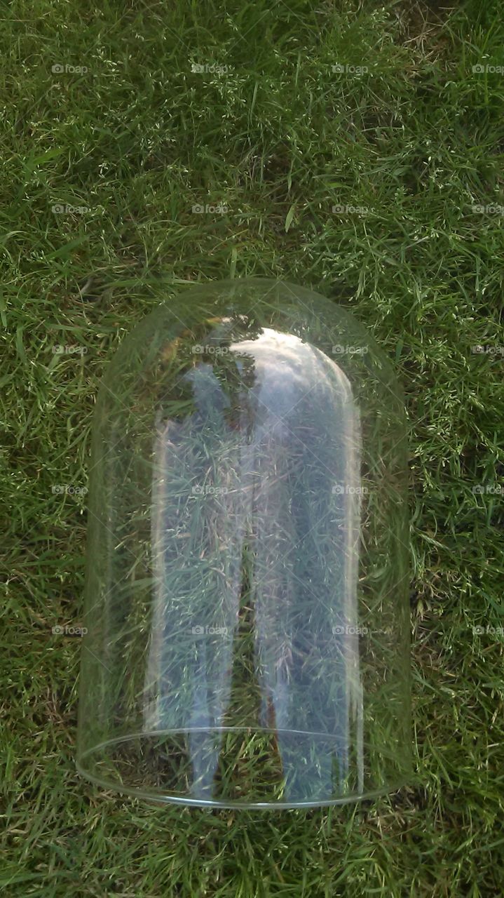 melting angel wings. shot this glass and captured the image of cloud wings from the reflection