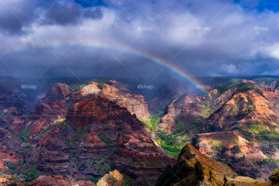 Waimea Rainbow 