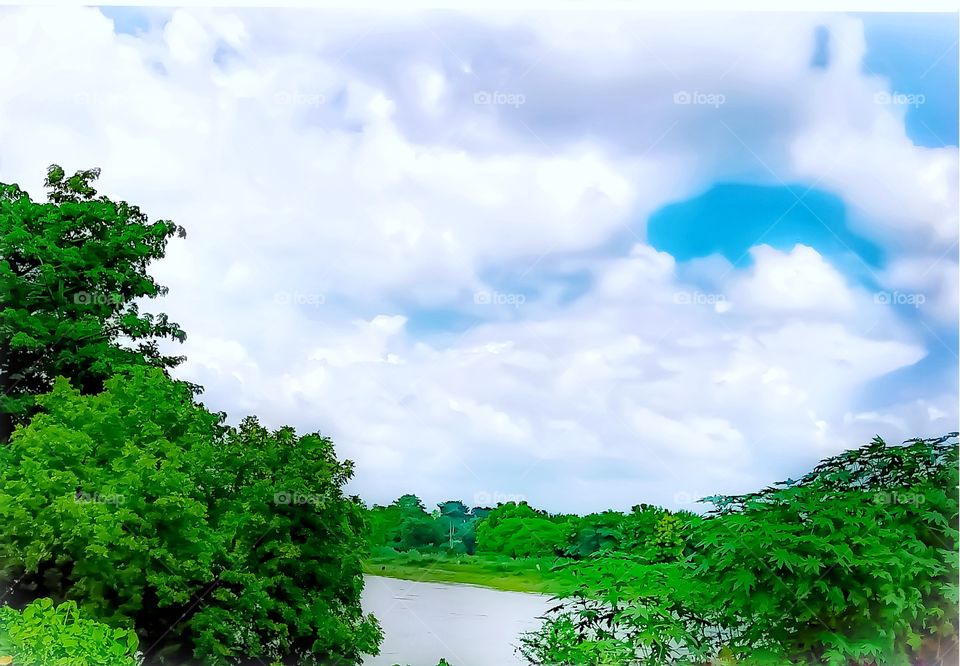 Best Indian River natural image image sarounding green plants that makes it so beautiful